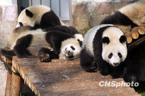 http://news.xinhuanet.com/world/2010-01/20/xinsrc_3620107201016328157837.jpg
